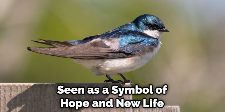 Seen as a Symbol of Hope and New Life
