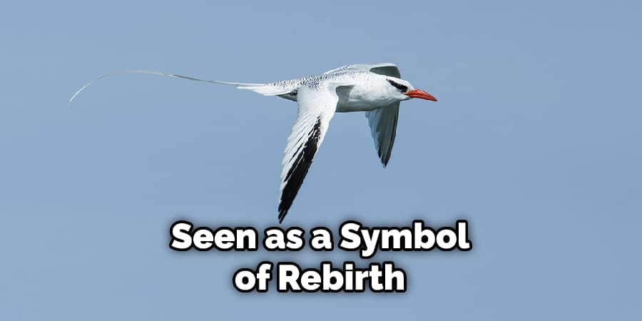 Seen as a Symbol of Rebirth 