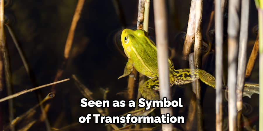 Seen as a Symbol of Transformation