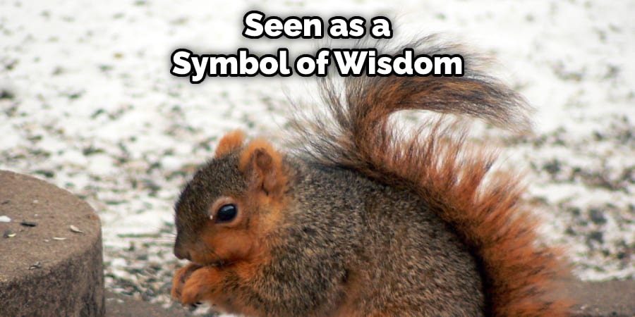 Seen as a Symbol of Wisdom