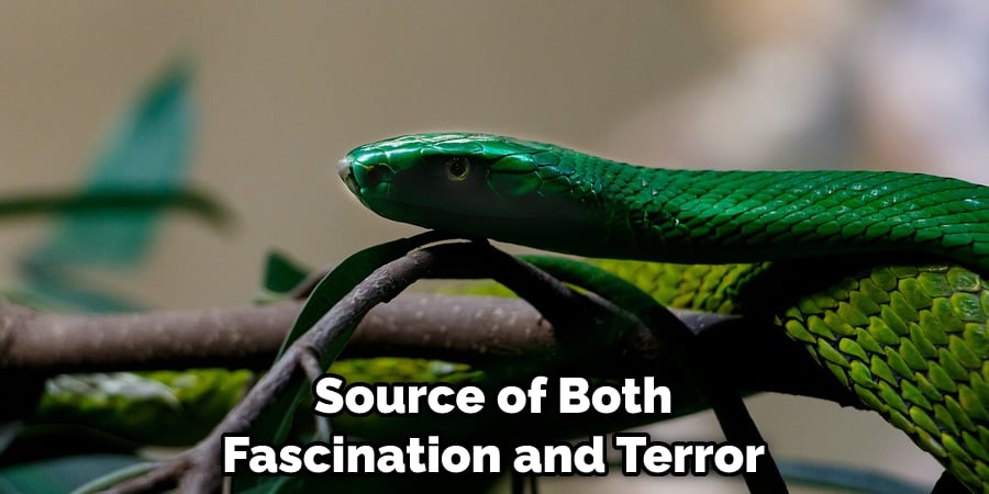 Source of Both Fascination and Terror