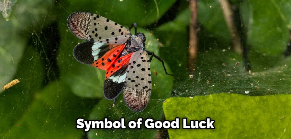Symbol of Good Luck