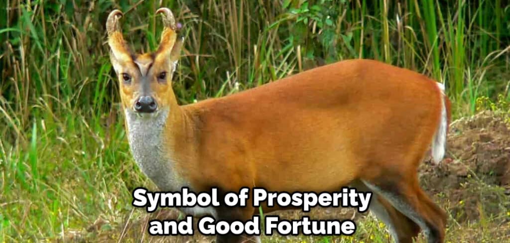 Symbol of Prosperity and Good Fortune
