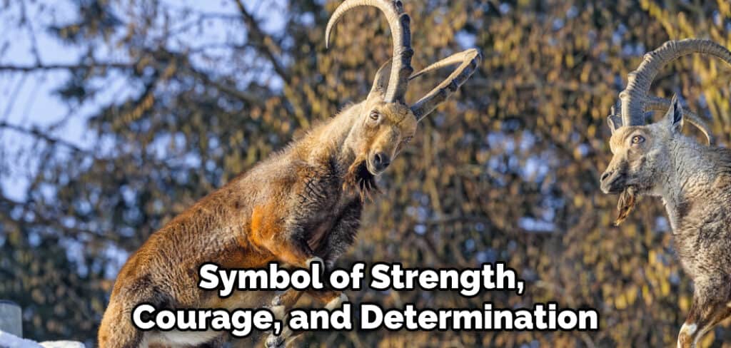 Symbol of Strength, Courage, and Determination