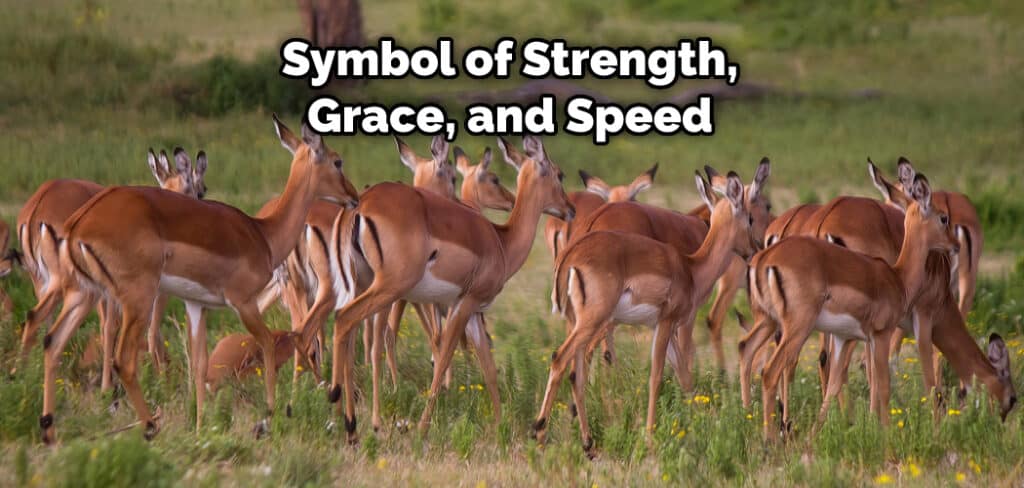 Symbol of Strength, Grace, and Speed