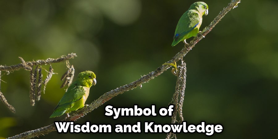 Symbol of Wisdom and Knowledge