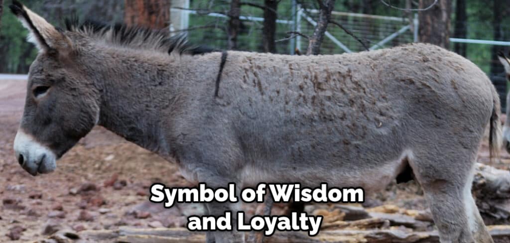  Symbol of Wisdom and Loyalty