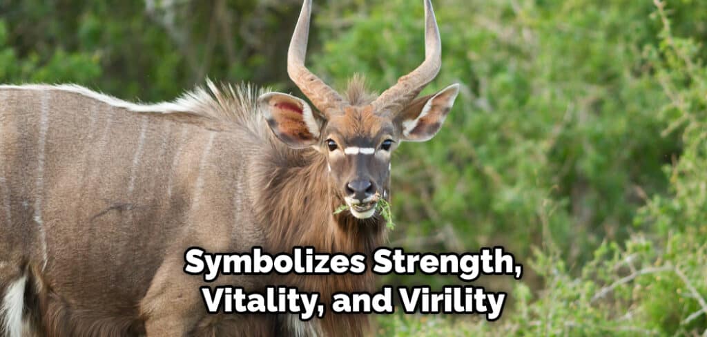 Symbolizes Strength, Vitality, and Virility