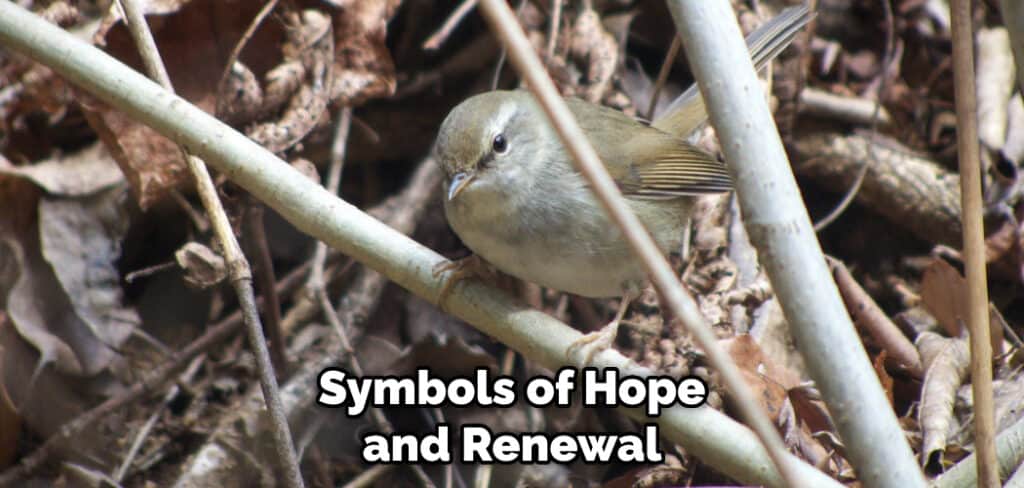 Symbols of Hope and Renewal