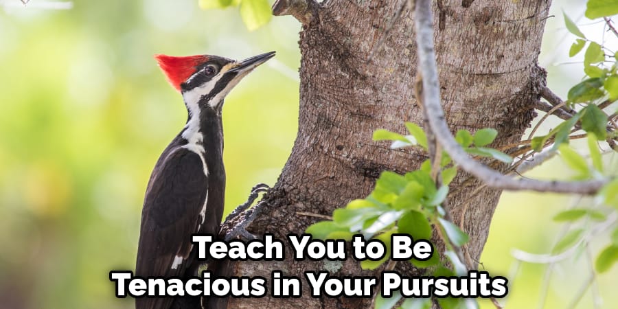  Teach You to Be Tenacious in Your Pursuits