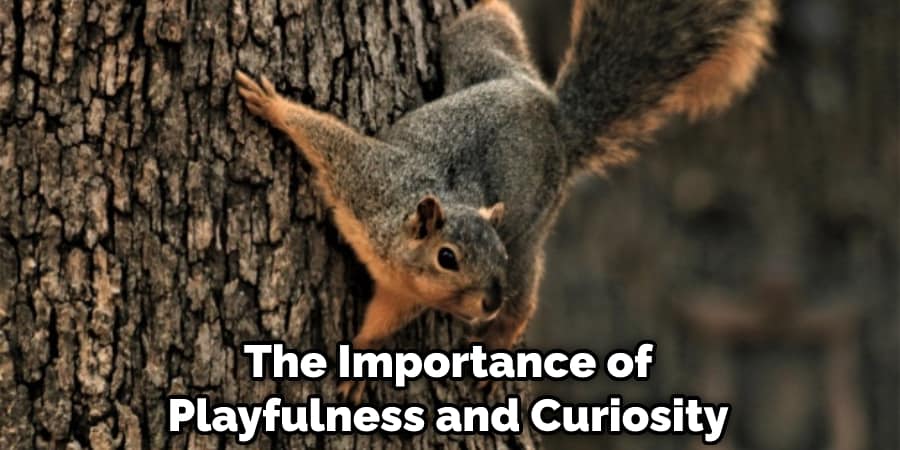 The Importance of Playfulness and Curiosity