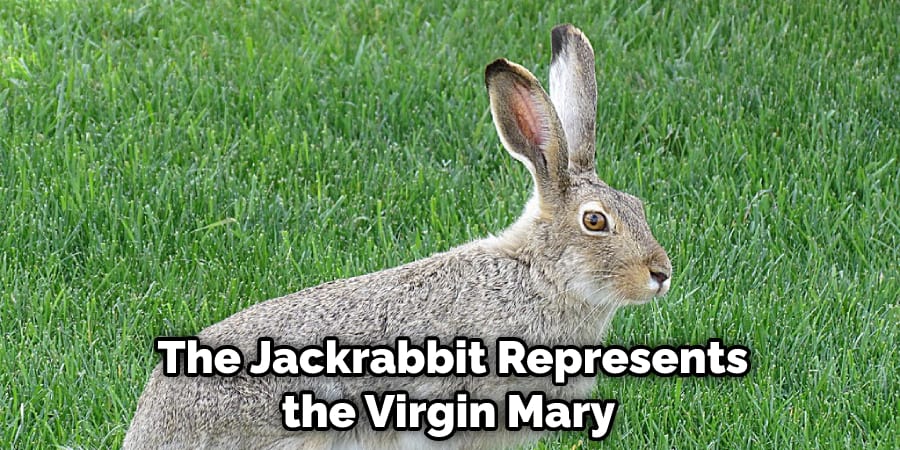 The Jackrabbit Represents the Virgin Mary 