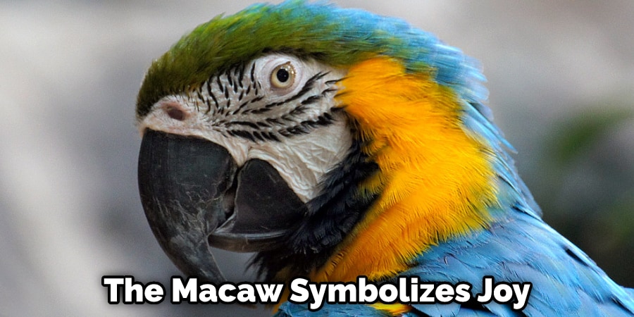 The Macaw Symbolizes Joy