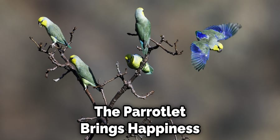 The Parrotlet Brings Happiness