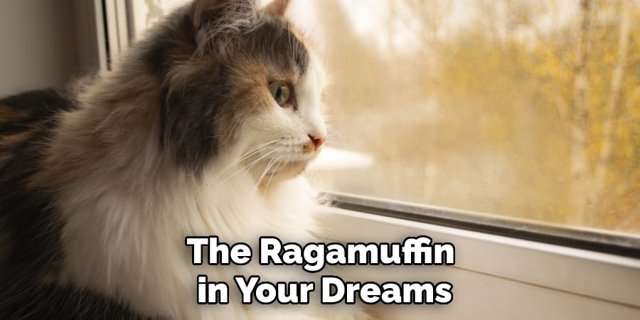 The Ragamuffin in Your Dreams