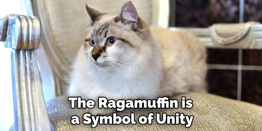 The Ragamuffin is a Symbol of Unity