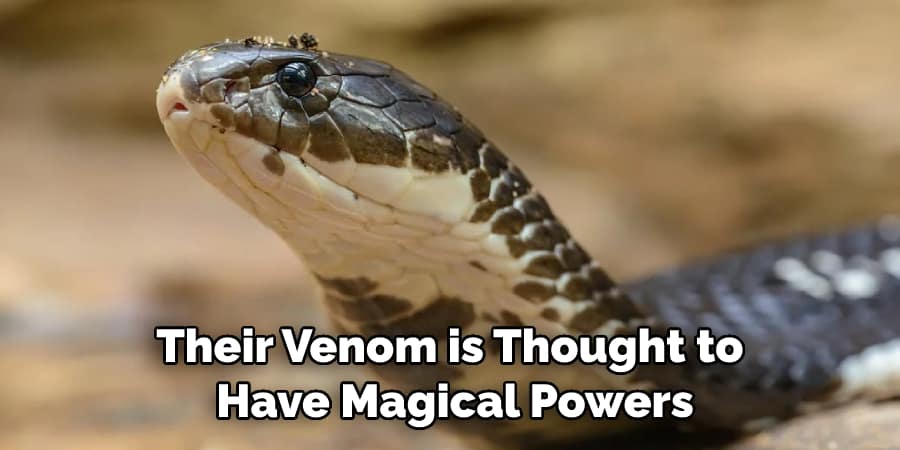 Their Venom is Thought to Have Magical Powers
