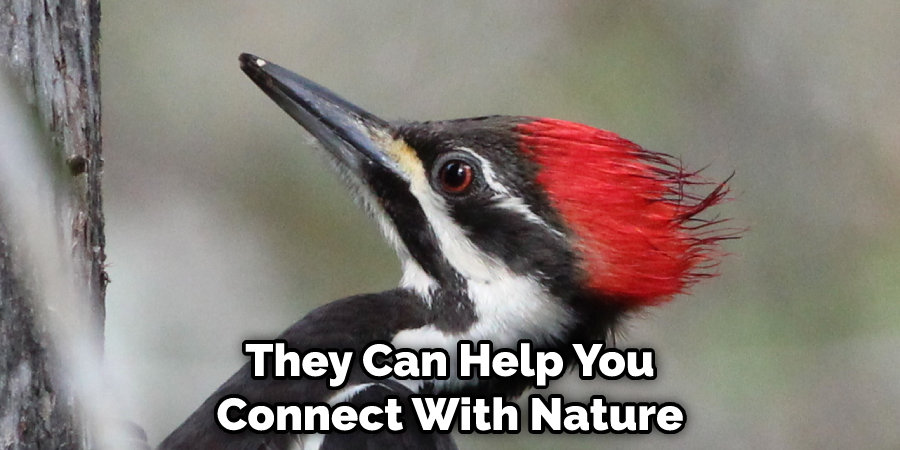 They Can Help You Connect With Nature