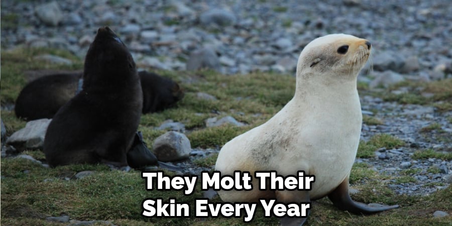  They Molt Their Skin Every Year
