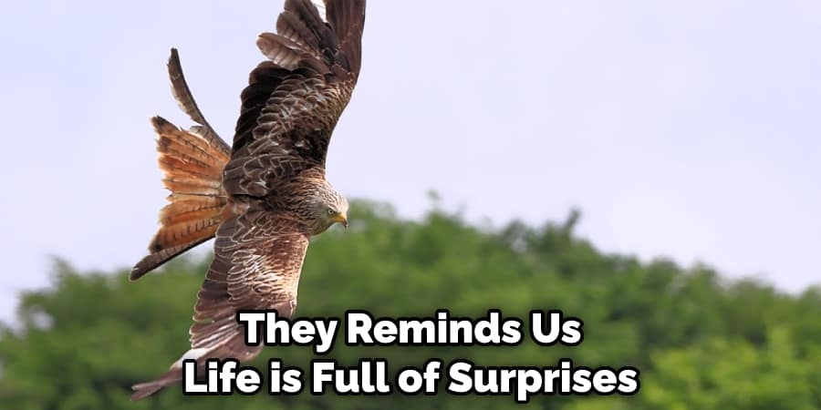 They Reminds Us Life is Full of Surprises