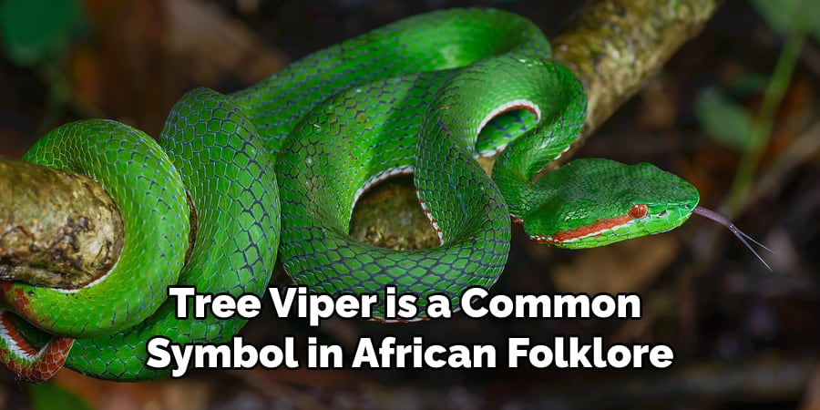 Tree Viper is a Common Symbol in African Folklore