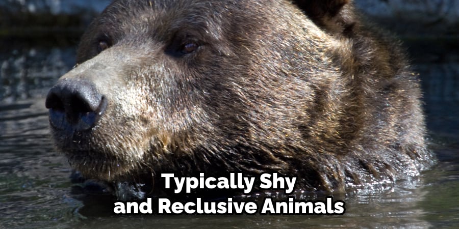 Typically Shy and Reclusive Animals