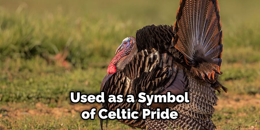 Used as a Symbol of Celtic Pride