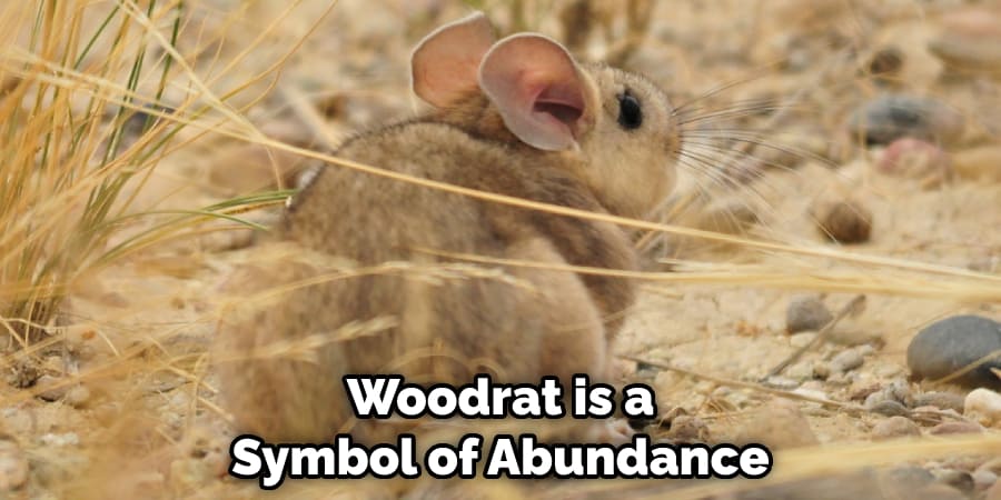 Woodrat is a Symbol of Abundance
