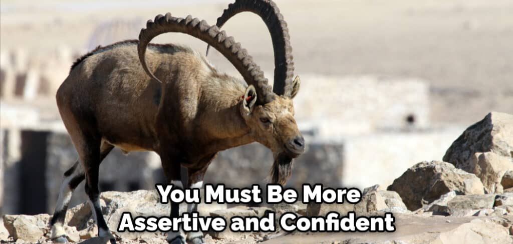  You Must Be More Assertive and Confident