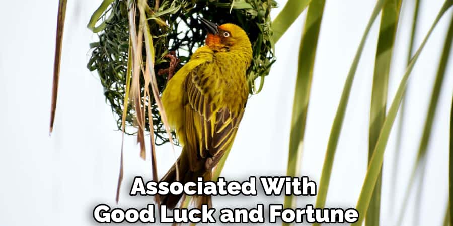 Associated With Good Luck and Fortune