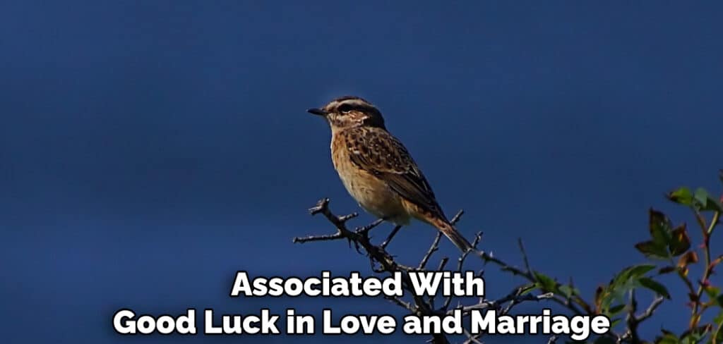 Sometimes Associated With Good Luck in Love and Marriage