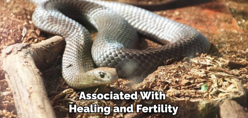 Associated With Healing and Fertility