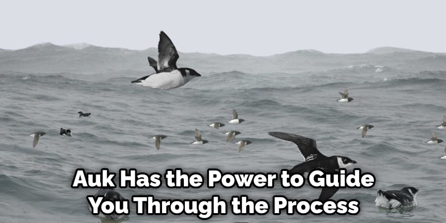 Auk Has the Power to Guide You Through the Process
