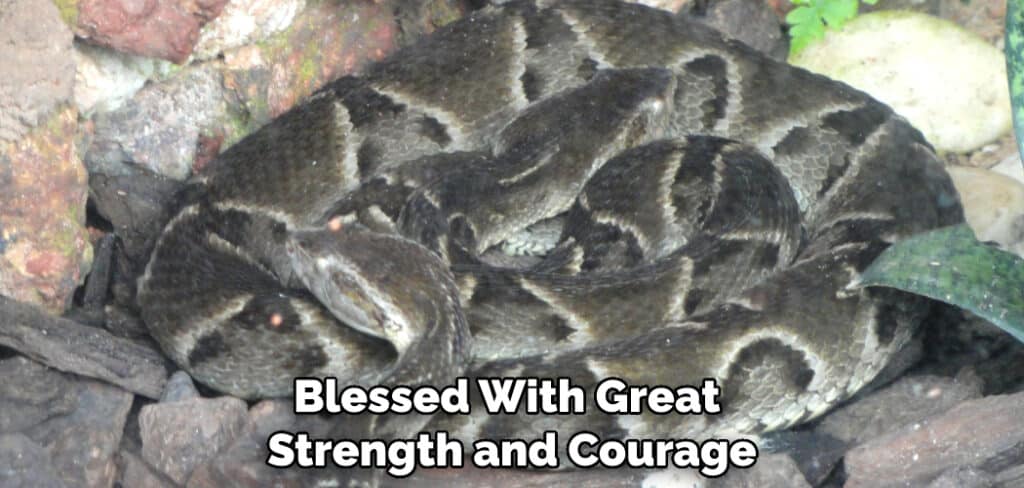 Blessed With Great Strength and Courage