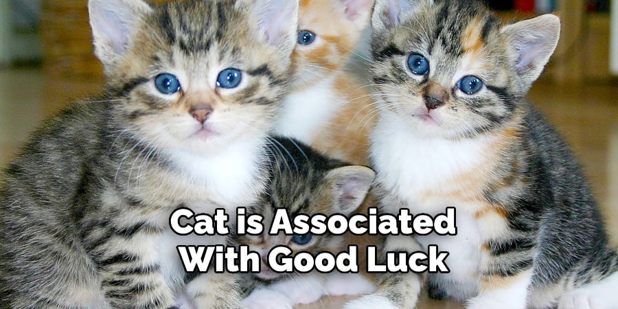 Cat is Associated With Good Luck