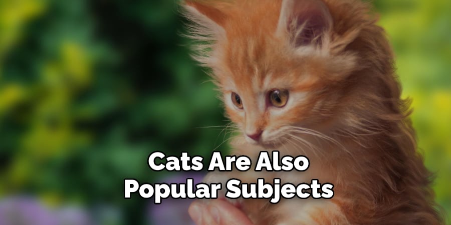 Cats Are Also Popular Subjects