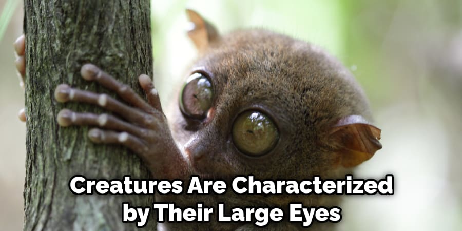 Creatures Are Characterized by Their Large Eyes