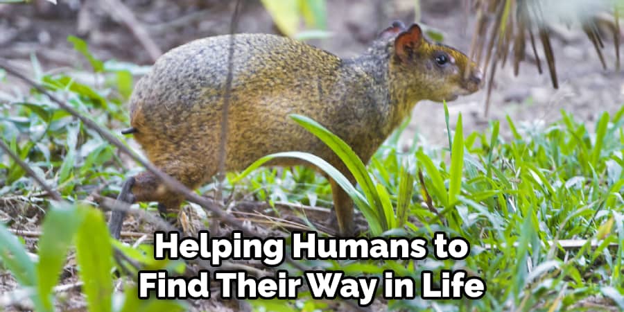 Helping Humans to Find Their Way in Life