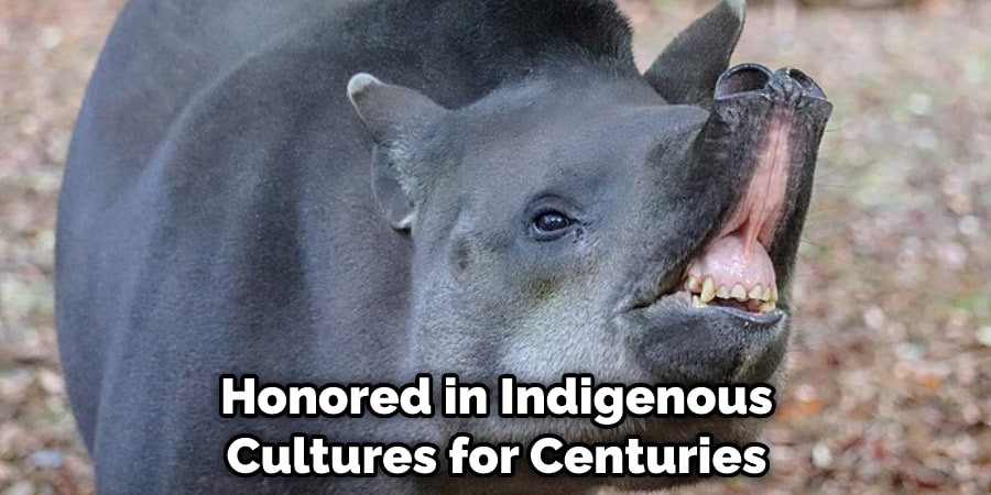 Honored in Indigenous Cultures for Centuries