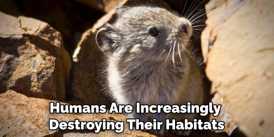 Humans Are Increasingly Destroying Their Habitats