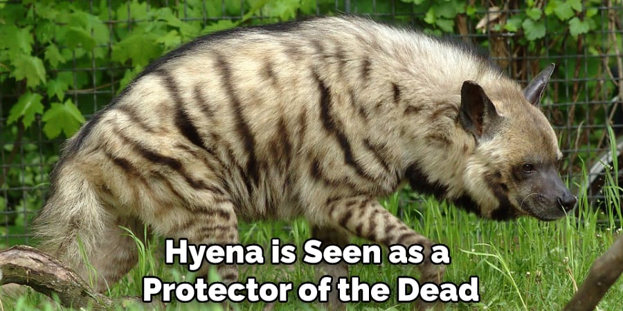 Hyena is Seen as a Protector of the Dead