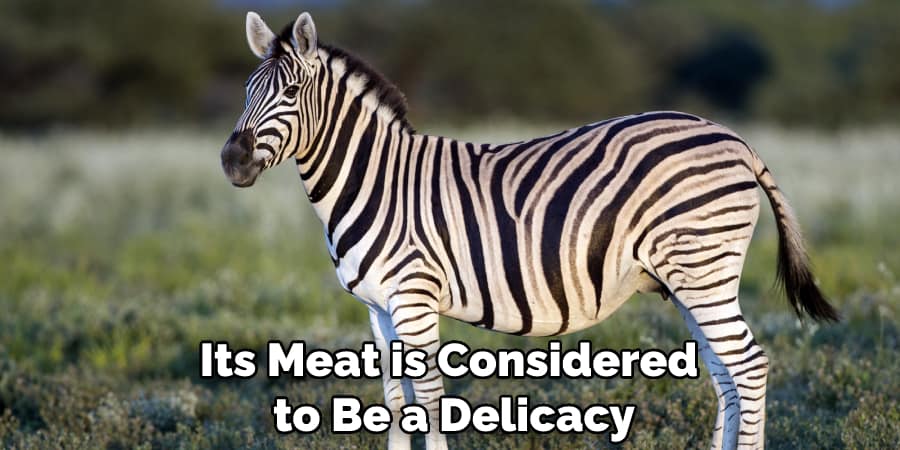 Its Meat is Considered to Be a Delicacy