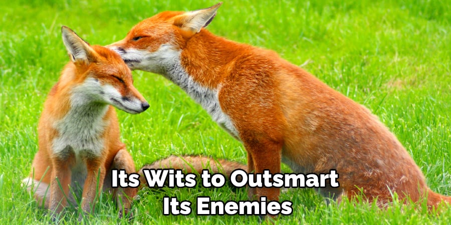 Its Wits to Outsmart Its Enemies