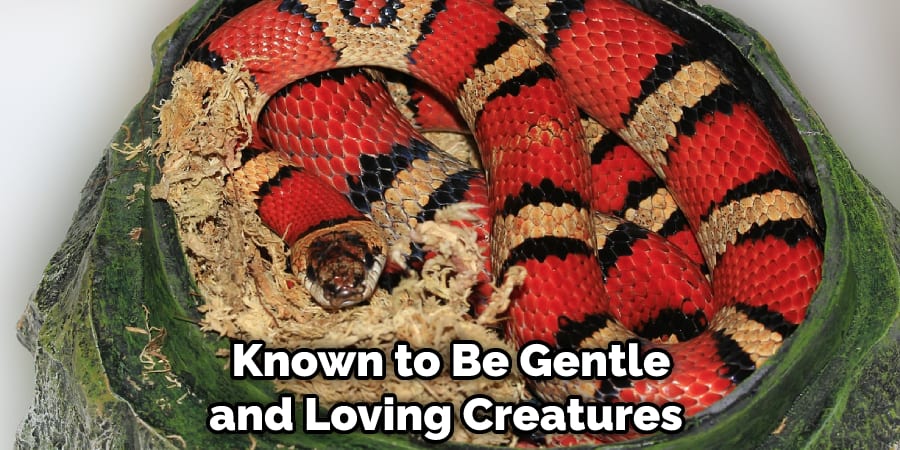Known to Be Gentle and Loving Creatures 