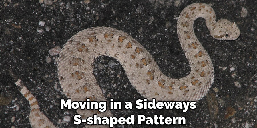 Moving in a Sideways S-shaped Pattern
