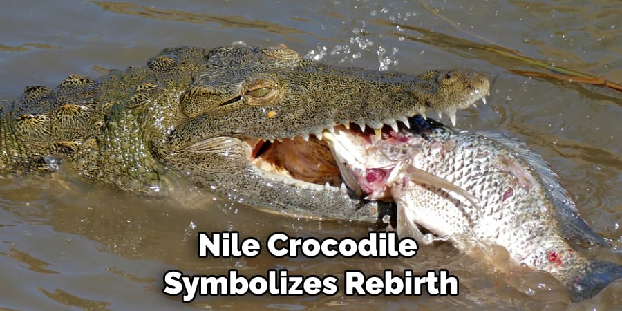 Nile Crocodile Symbolizes Rebirth