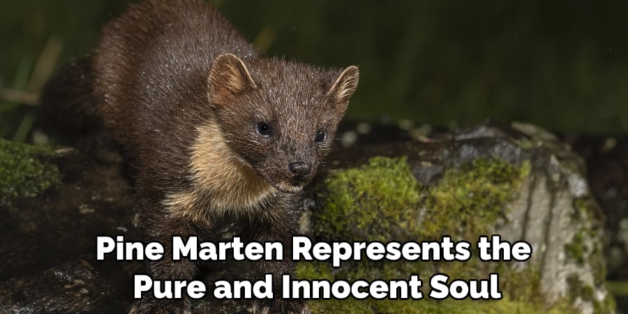 Pine Marten Represents the Pure and Innocent Soul