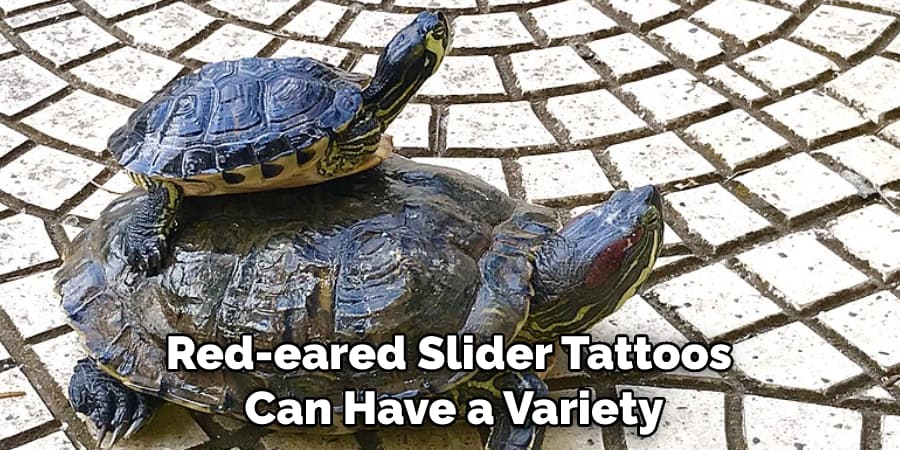 Red-eared Slider Tattoos Can Have a Variety