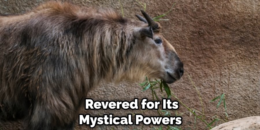  Revered for Its Mystical Powers