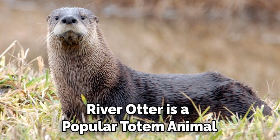 River Otter is a Popular Totem Animal
